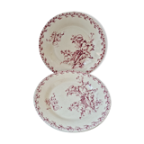 Set of 2 plates Pink Thistles of Gien