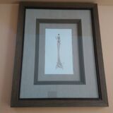 Frame with fashion design