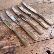 Lot de 6 couteaux Guy Degrenne