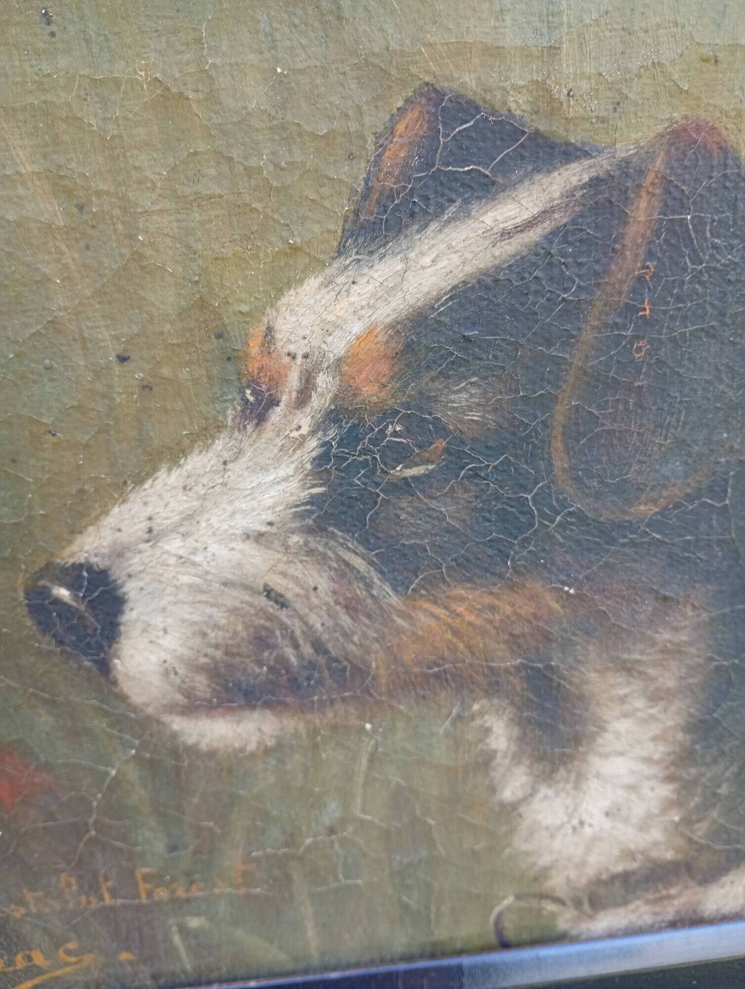 Ancient oil on canvas portrait of a Fox Terrier dog signed – Painting an