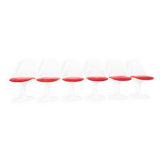 Set of 6 Tulip Dining Chairs by Maurice Burke for Arkana, England, 1960s