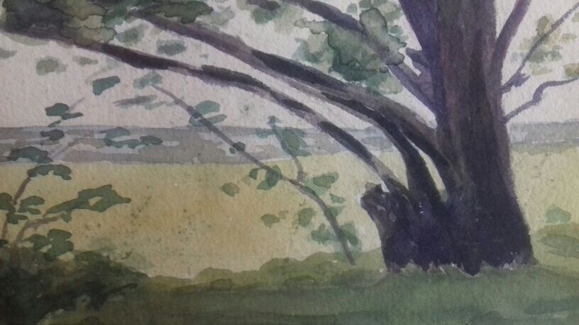 Aquarelle " arbre penché "