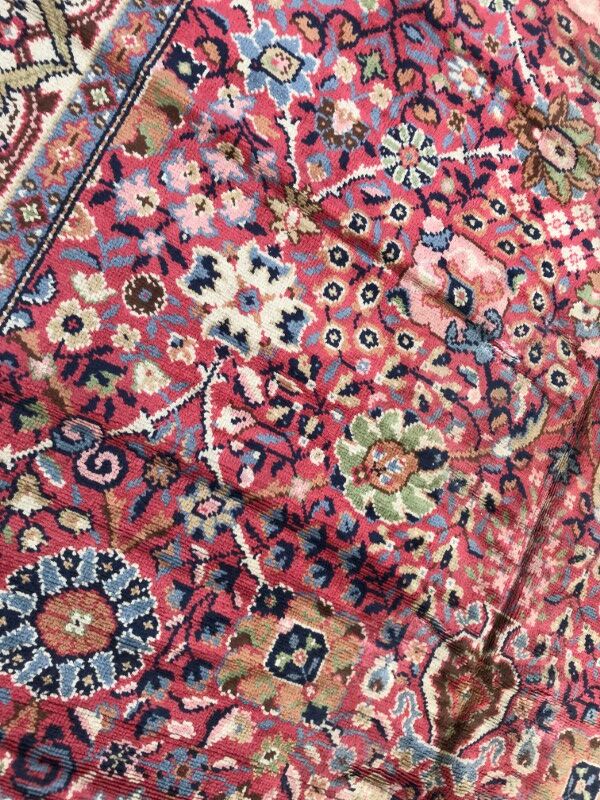 Old french carpet knotted 253 x 353 cm
