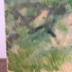 Paysage de forêt, huile sur toile signée Taquoy
