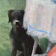 Oil painting on canvas signed dimensions: height -54.5 cm - length -46.5