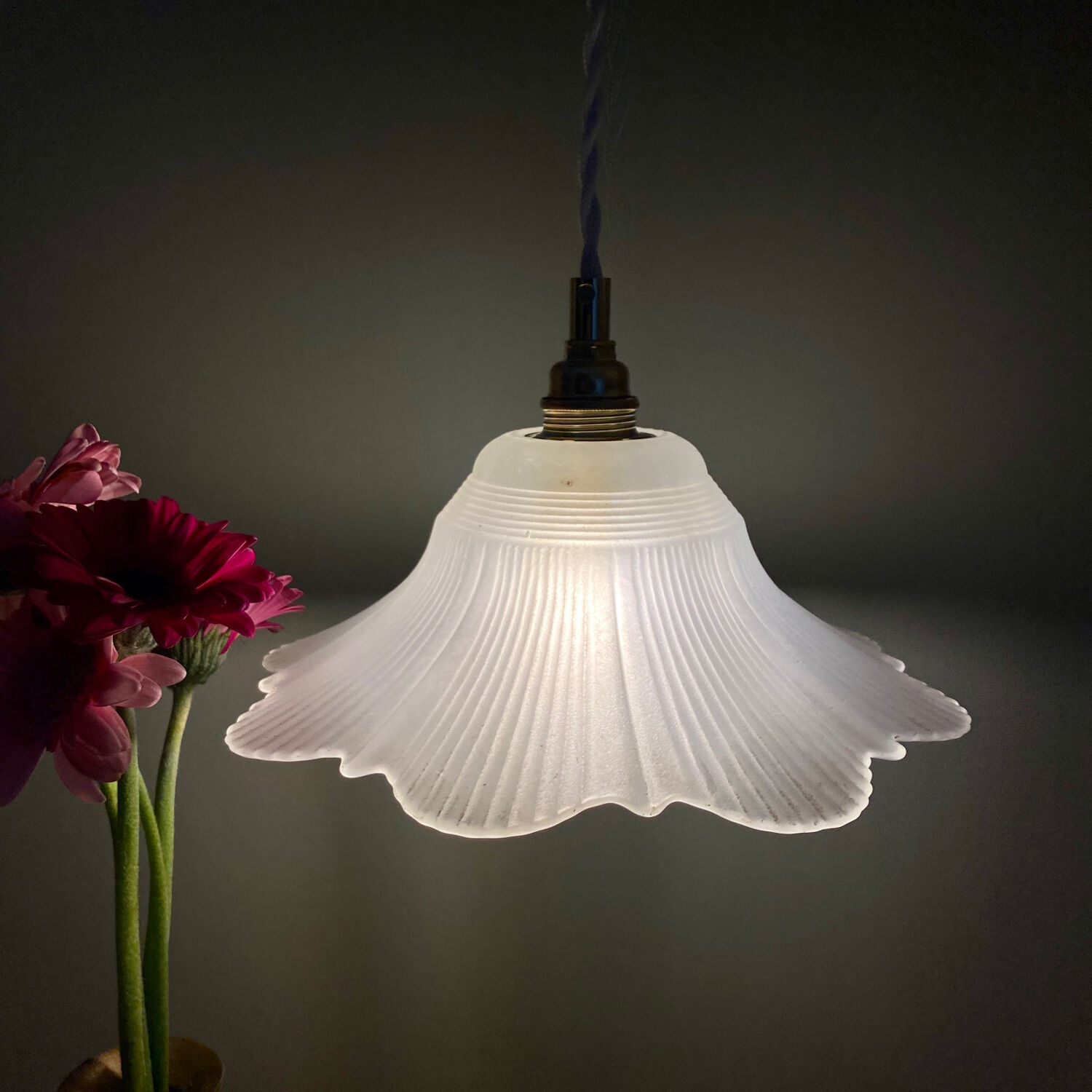 Vintage frosted glass lampshade pendant light