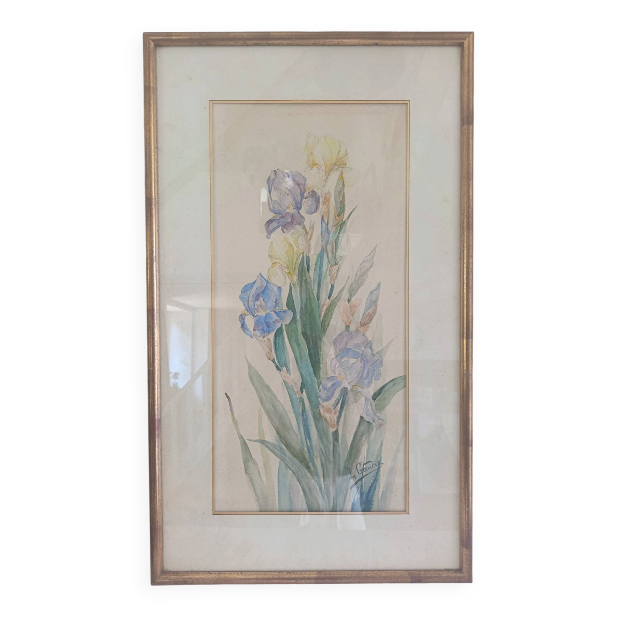 Painting of an iris