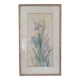 Painting of an iris