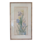 Painting of an iris