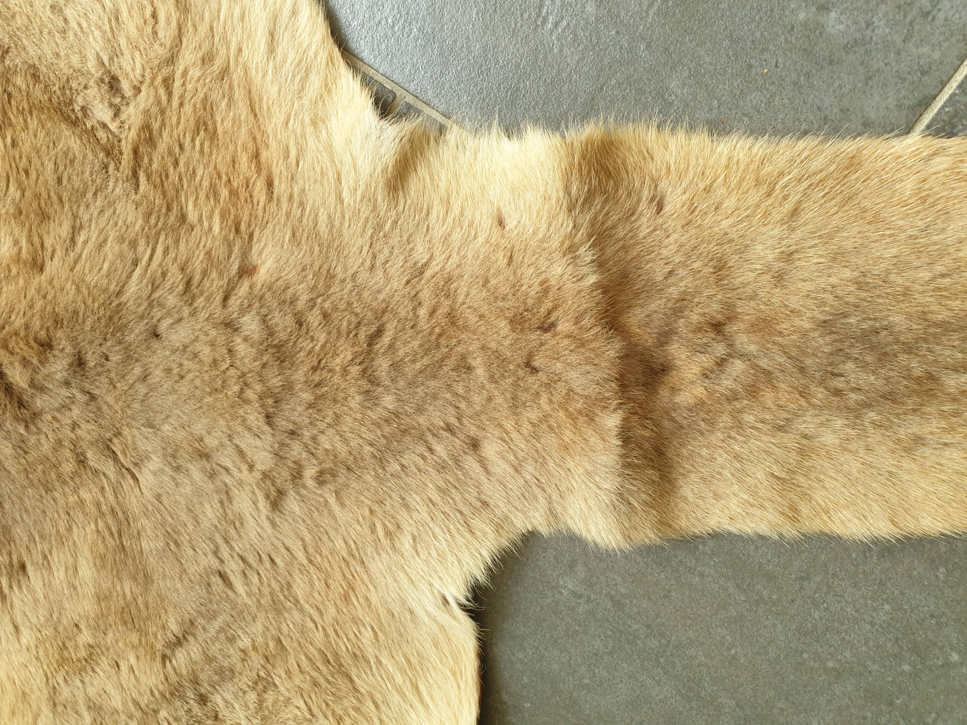 Kangaroo skin