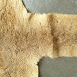 Kangaroo skin