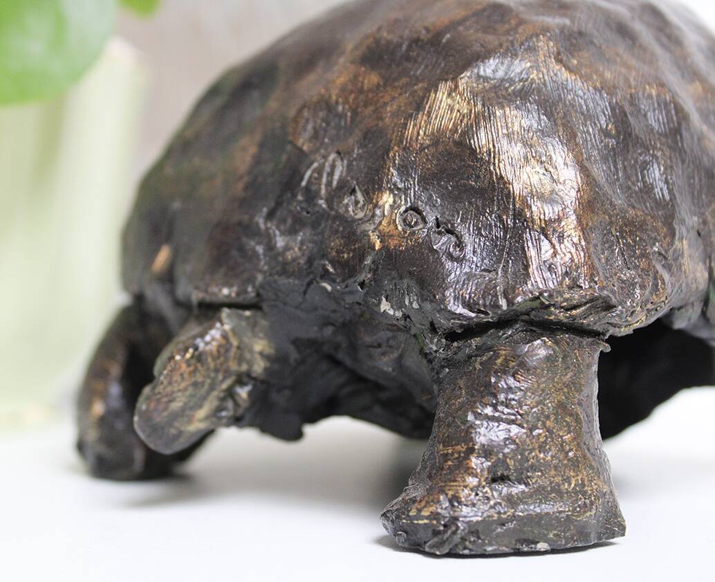 Turtle signed Closon