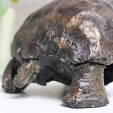 Turtle signed Closon