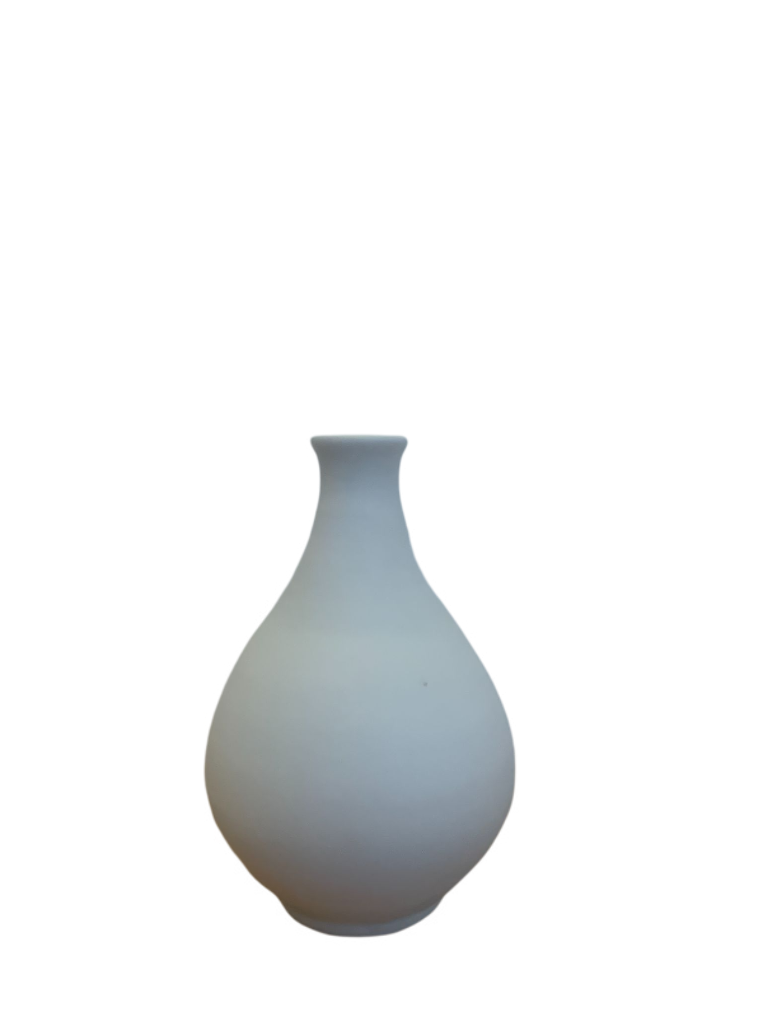 White ceramic with dolphin motif