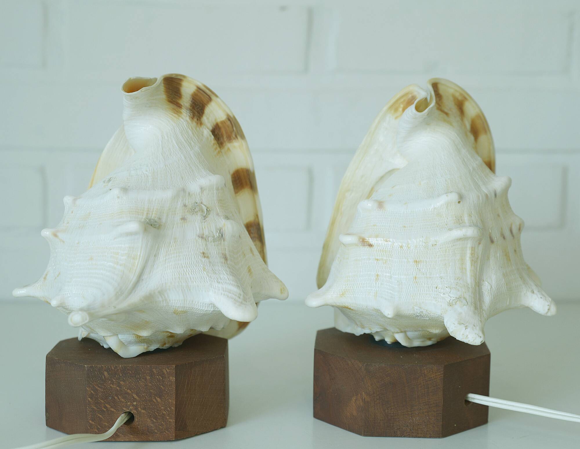 Vintage bedside shell lamps lake house decor wooden table lights set of 2