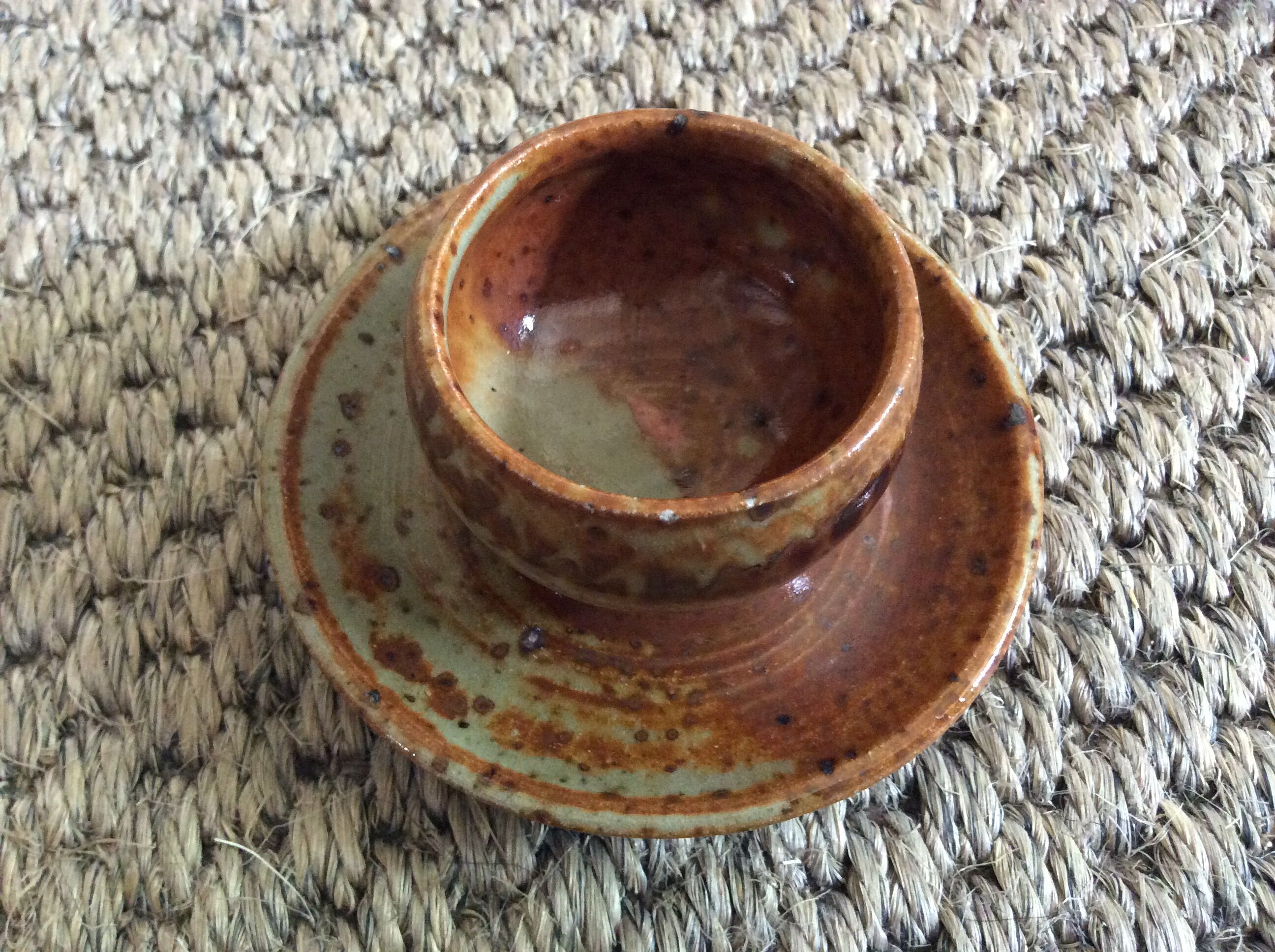 Series of 5 cockroaches