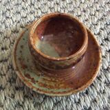 Series of 5 cockroaches