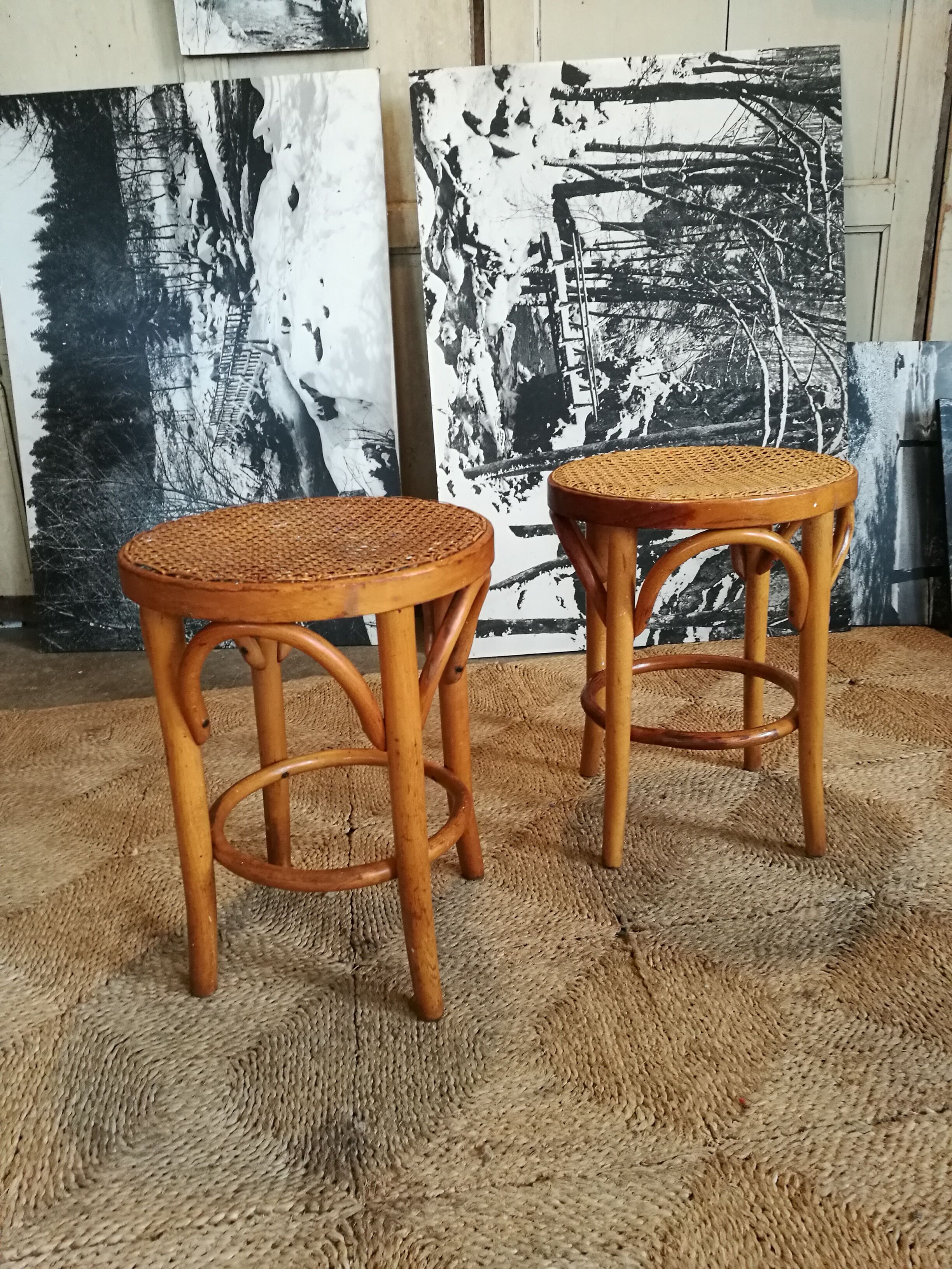 Pair of curved wooden stools