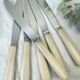 6 vintage Bakelite ivory knives France