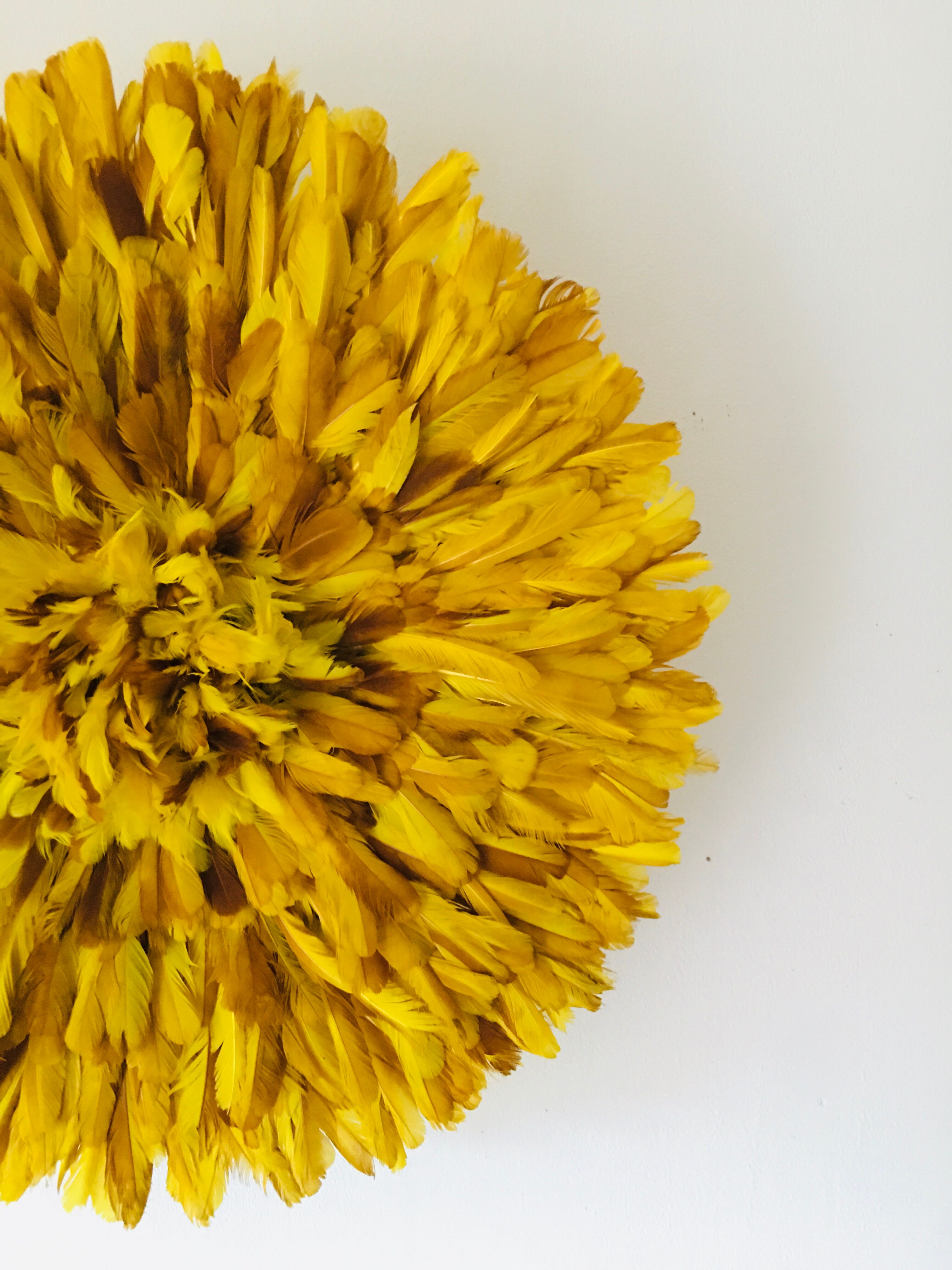 Yellow Jujuhat 55 cm