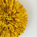 Yellow Jujuhat 55 cm