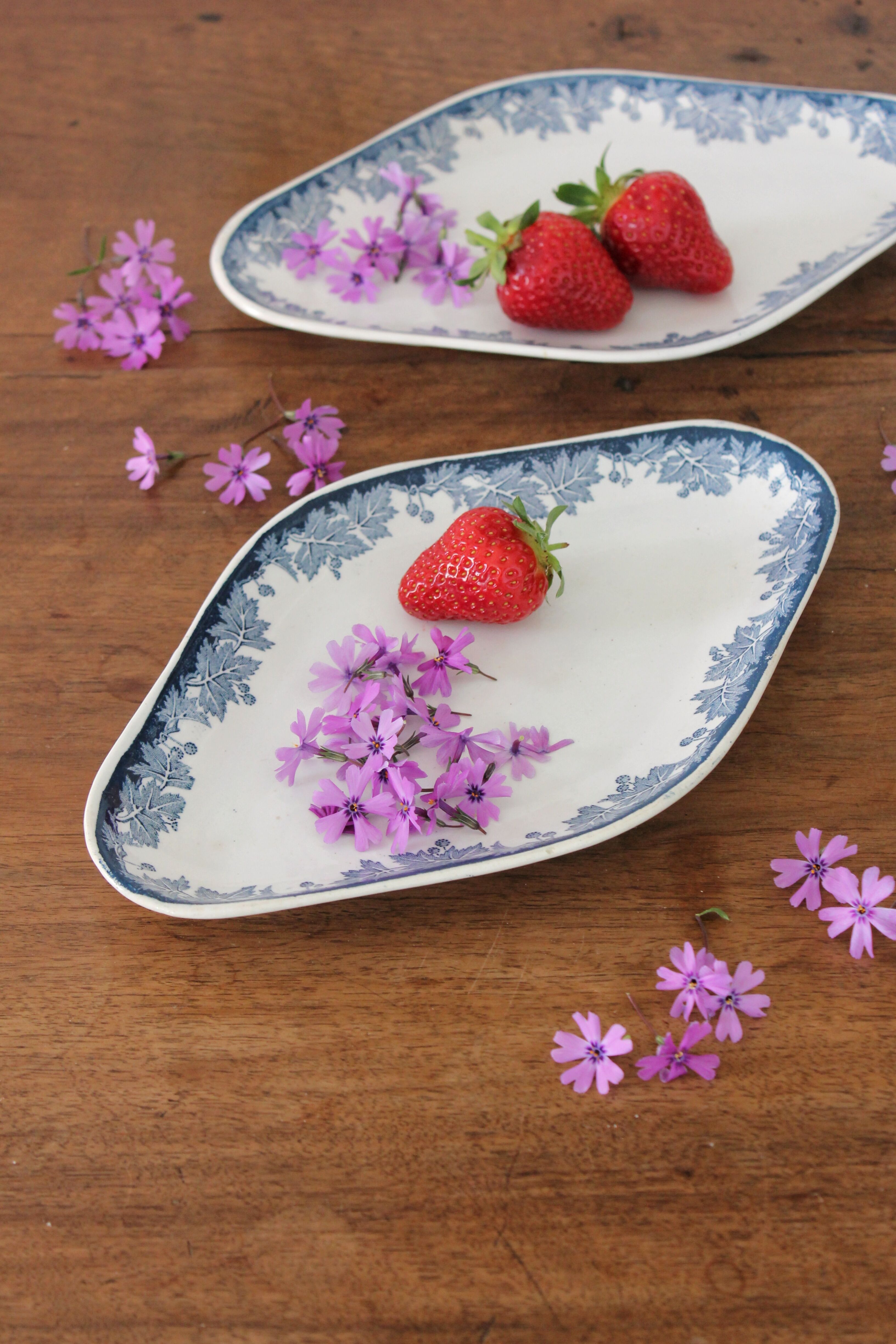 Iron clay dish "Platane" model Saint Amand and Hamage early 20th century