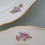 Set of 5 Limoges enameled porcelain plates