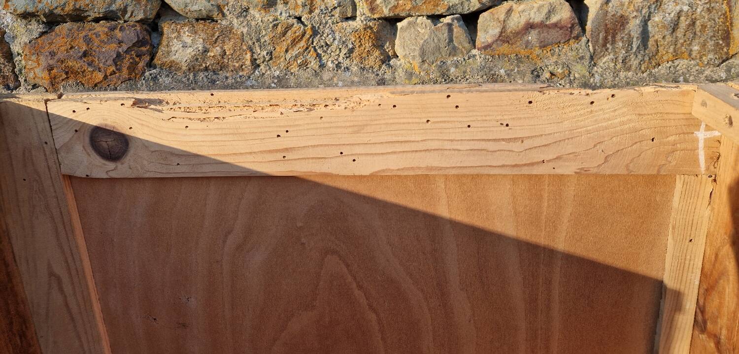 René Gabriel disaster cupboard, 1950s