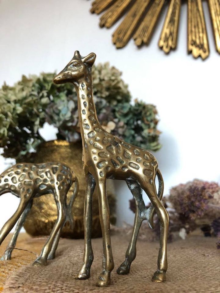 Pair of two giraffes