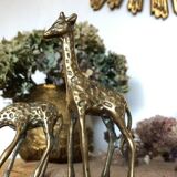 Pair of two giraffes