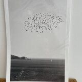The flight
