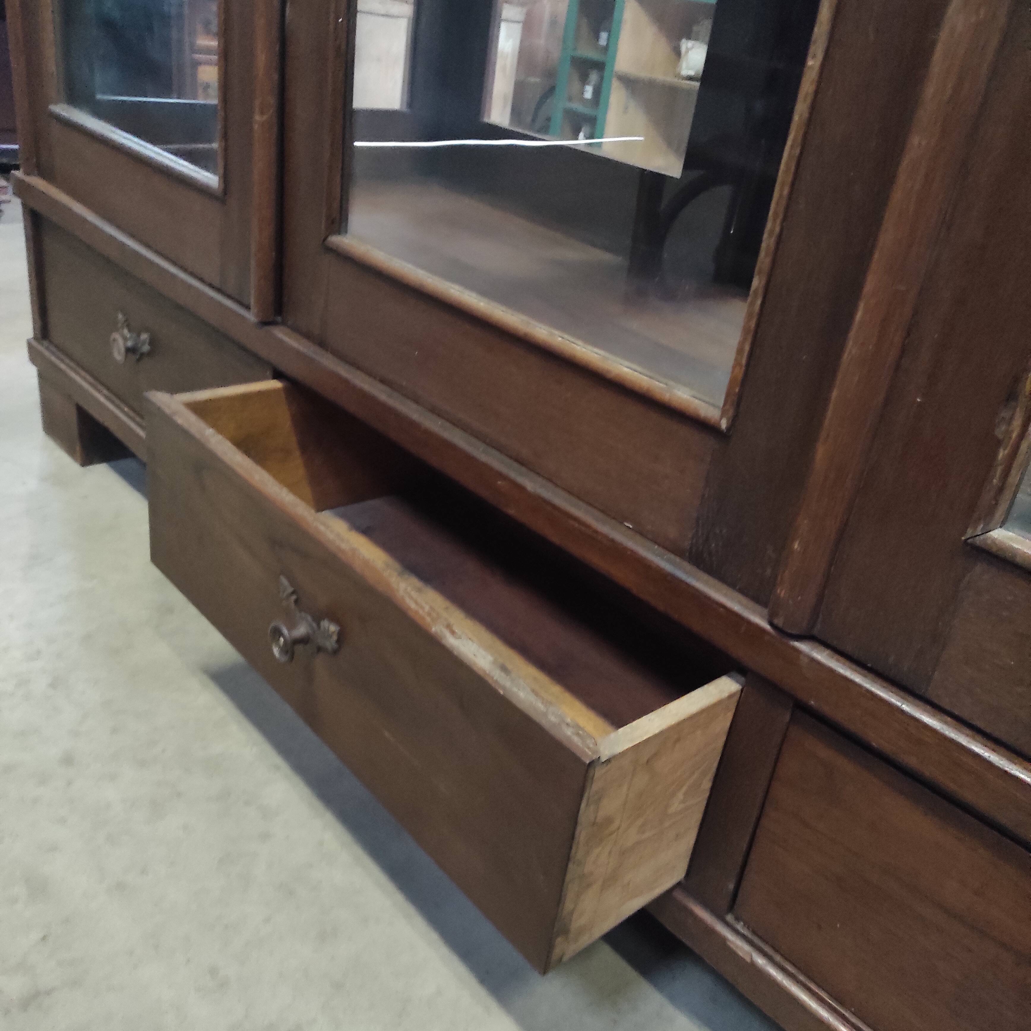 Vitrine de musée 6 tiroirs, vers 1900