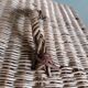 wicker box basket