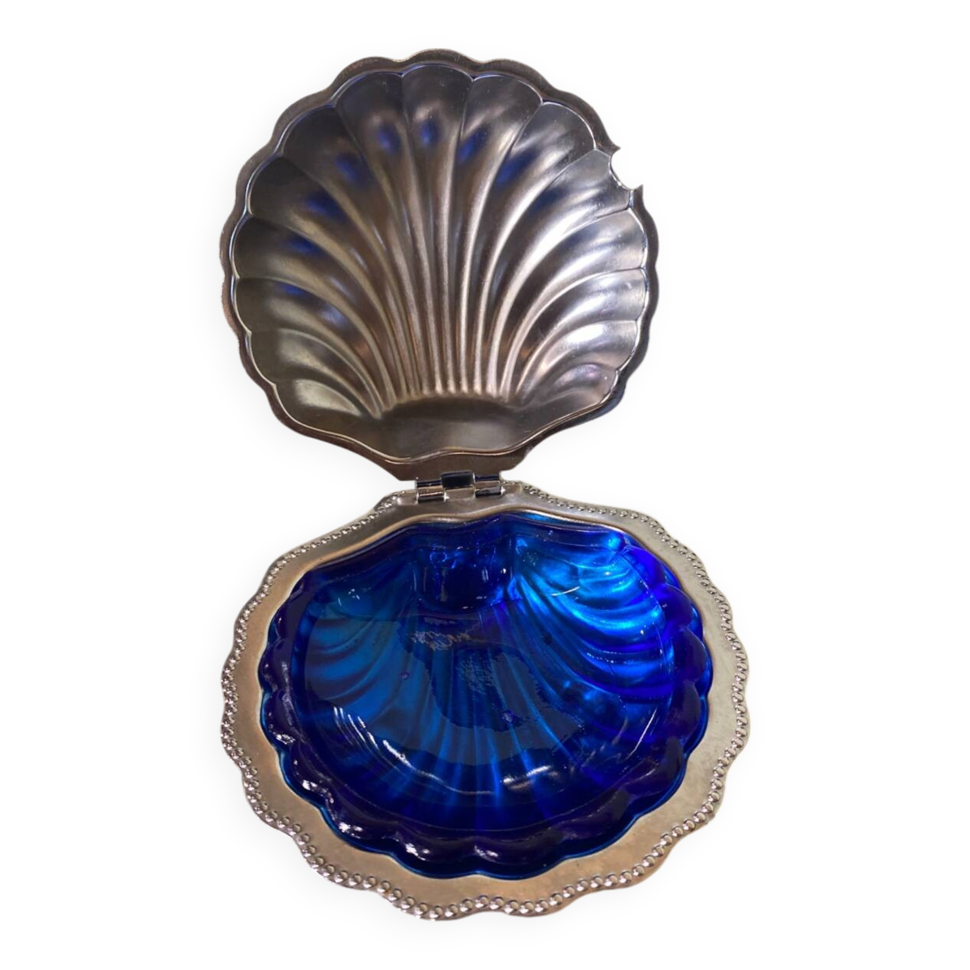 Beurrier coquillage