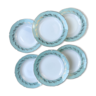 6 hollow plates st amand céranord model picardie in white green gold earthenware