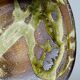 Vintage/Antique Brutalist Japanese Iga Art Ceramic Bowl