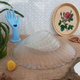 Flat set and 6 shell-shaped glass ramekins
