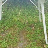 Garden table