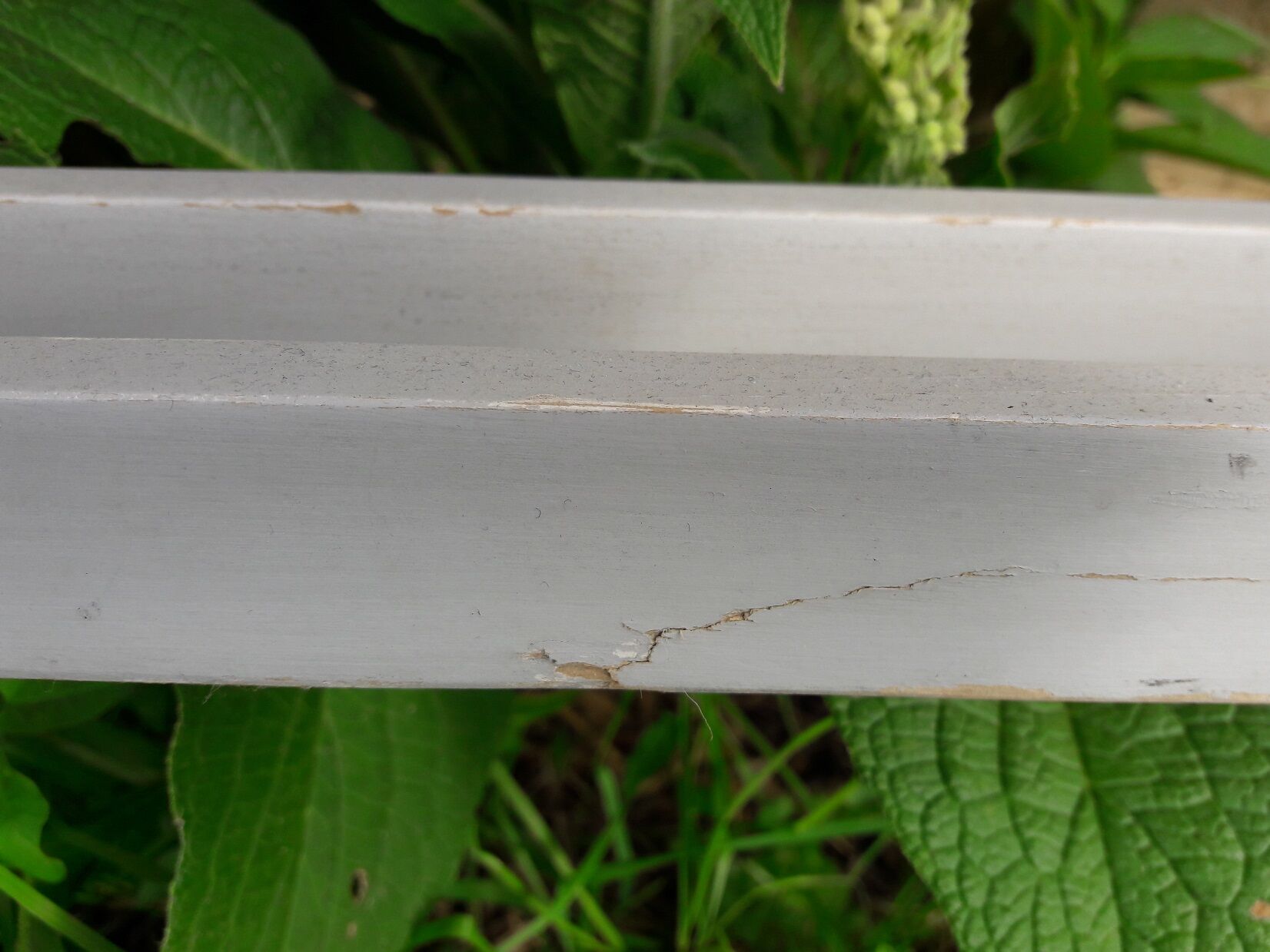 Folding chair Thonet