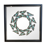 Cadre papillons