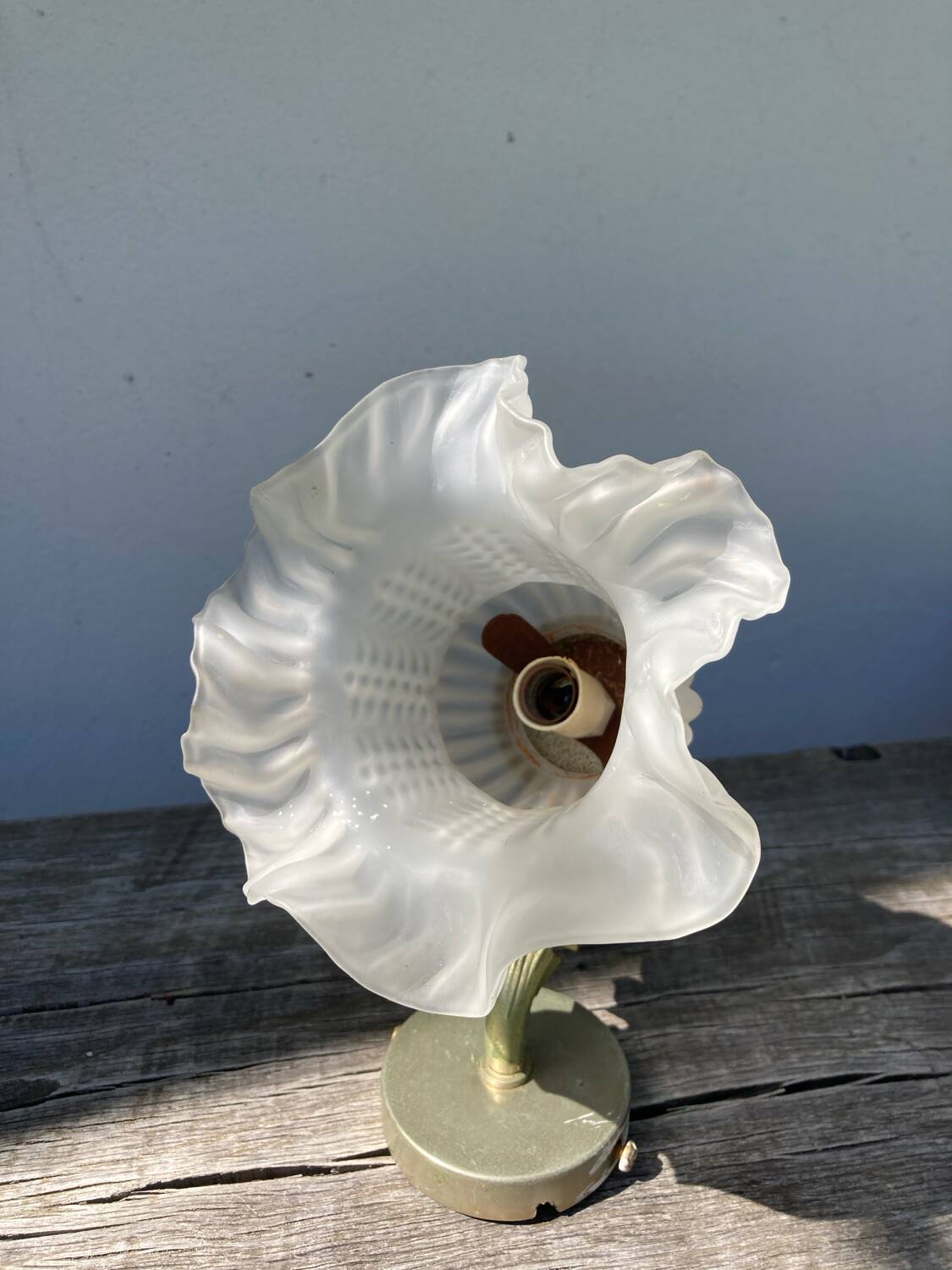 Flower wall lamp in glass paste