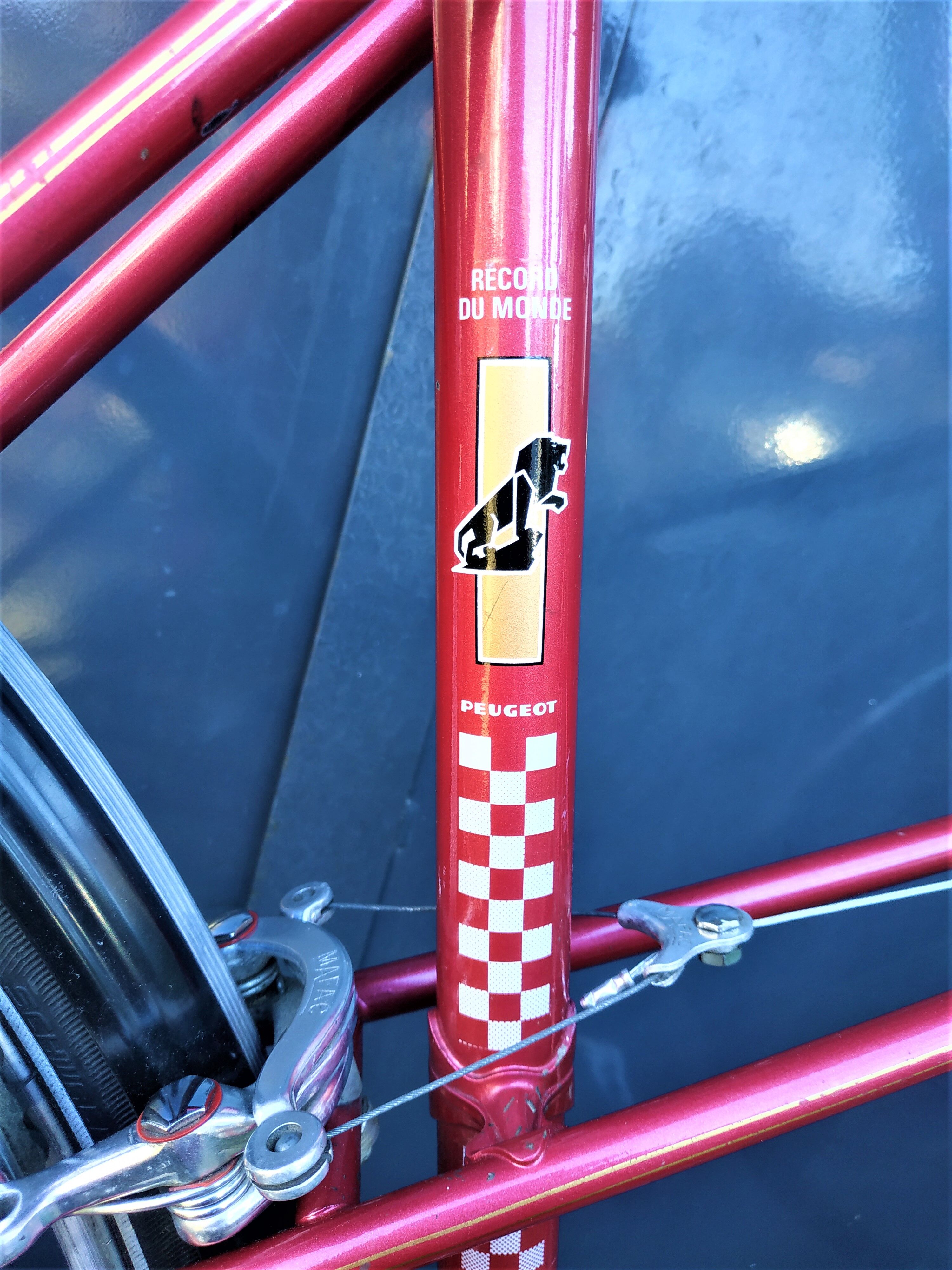 VTC électrique Montana Enjoy Lady