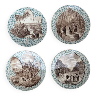 Old plates Leaves