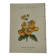 🌿 Botanical Plate Old Naturalist Engraving 19th Century Double-Sided