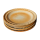 Marsh sandstone plates