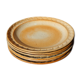 Marsh sandstone plates