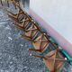 Chaises en skaï pied compas vintage bleu vert