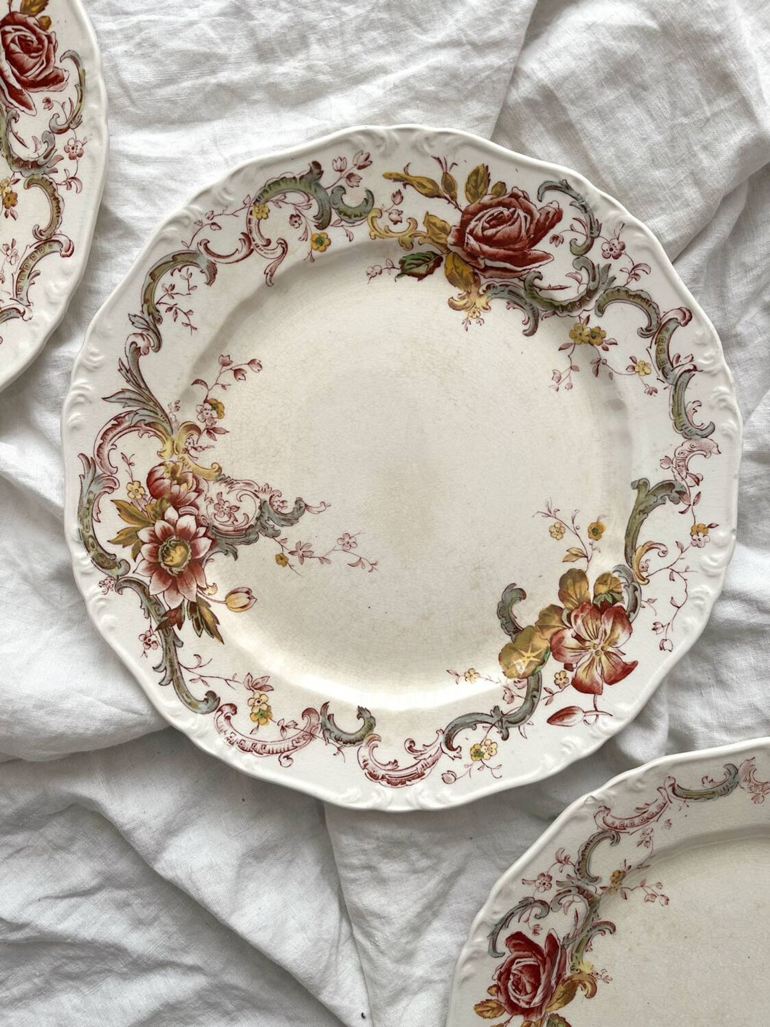 6 polychrome ironstone dinner plates "Wentworth" by Emile Bourgeois