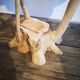 Brutalist teak flower table