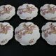 6 Limoges porcelain dessert plates 1900 - Bird decor
